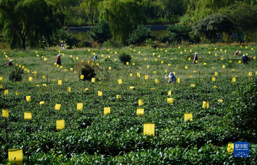 永盈游戏